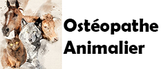 Animal Ostéo Logo